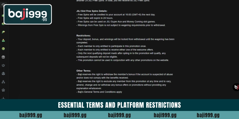 Essential terms and platform restrictions