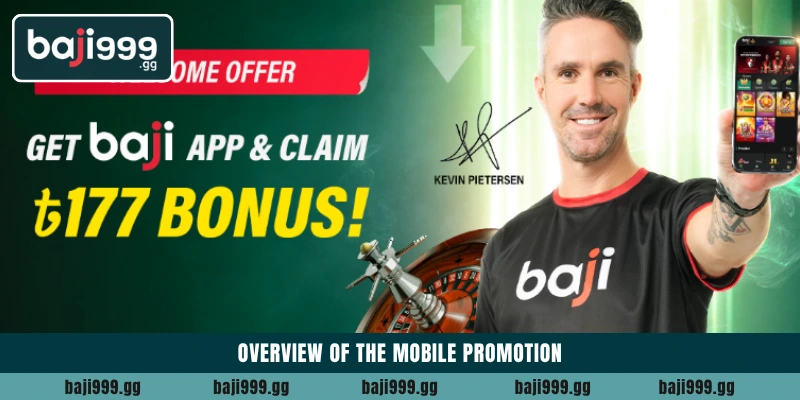 Overview of the mobile promotion